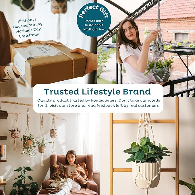 Nook Theory 6-Pack Macrame Plant Hanger - 12 Ceiling Hooks - Plant Hanger Indoor - Hanging Plant Holder - Hanging Planters for Indoor Plants - Boho Plant Hanger - Plant Hangers Indoor (Cream)