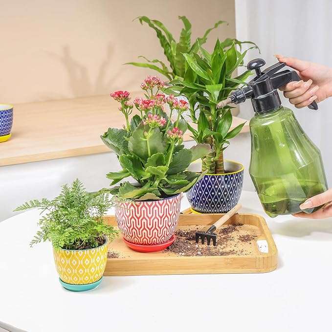 Selamica Ceramic Succulent Pots with Drainage Holes, Small Flower Pots 3.5 Inch Plant Pots for Indoor Plants with Saucers, Cactus Succulent, Home Decor, Set of 4, Assorted Colors