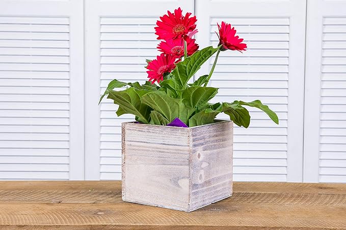 Wooden Planter Box, Rustic Whitewash with Plastic Liner l Garden Decor l Restaurant and Wedding Decorations l Wedding Bouquets, Table Centerpiece (5x5 Set of 4, Whitewash)