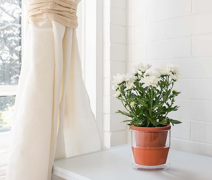 D'vine Dev 4 Inch Design Self Watering Pot for Indoor Plants, Terracotta Planter with Cylinder Glass Cup, Set of 2, 37-X-A-2