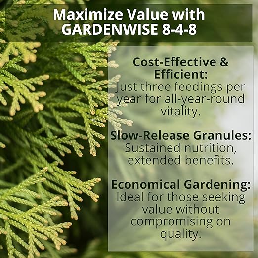 8-4-8 Acidic Fertilizer for Azaleas, Camellias (Camelia), Hydrangeas, Blueberries, Gardenias, Magnolia Trees, Evergreens, and Rhododendrons - Ideal Iron-Rich Plant Food (3 QUARTS)