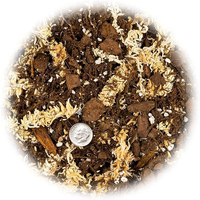 Premium Orchid Mix by GARDENERA - 10 Quart - Fern + New Zealand Pine Bark + Sphagnum Moss + Perlite | Best for Growing and Repotting Orchids (2 Bags of 5 QT)
