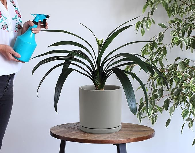 D'vine Dev Set of 2 Plants Pots, 10 Inch Ceramic Planter Pot for Plants with Drainage Hole and Saucer, Speckled Grey, 94-V-E-3