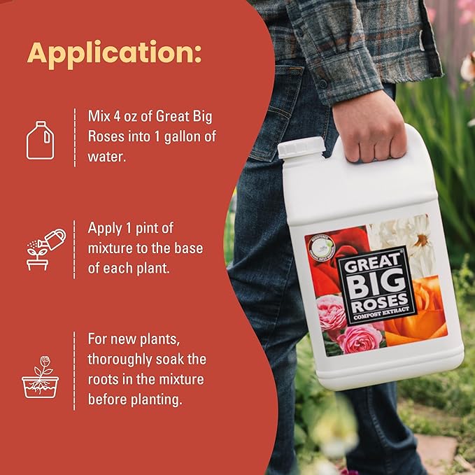 Great Big Roses – Soil and Rose Fertilizer Booster to Grow The Best Roses and Flowers; Rose Food Compost Extract for Rose Bush, 2.5 Gallon Concentrate (Makes 80 Gallons)