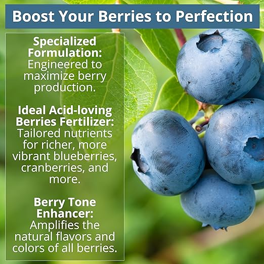 8-4-8 Acidic Fertilizer for Azaleas, Camellias (Camelia), Hydrangeas, Blueberries, Gardenias, Magnolia Trees, Evergreens, and Rhododendrons - Ideal Iron-Rich Plant Food (4 QUARTS)