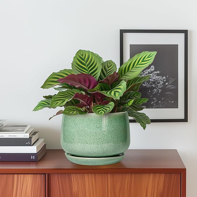 G EPGardening Ceramic Pots for Plants - 6 Inch Plant Pot with Drainage Hole and Saucer, Modern Ceramic Planter for Indoor Outdoor, Round Flower Planter, Gifts for Plants Lovers, Home Decor, Green