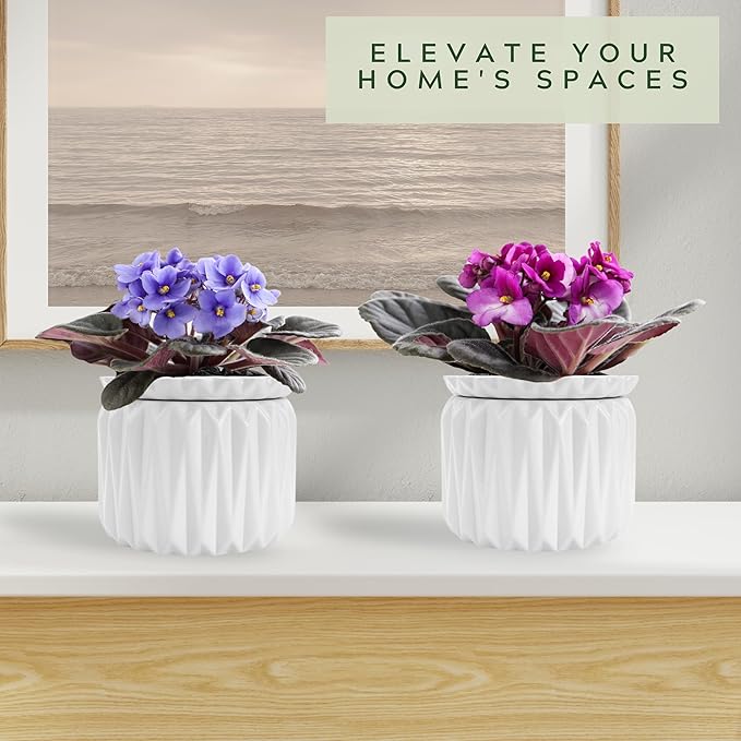 6 inch Self Watering Pot for Indoor Plants, African Violet Pot Ceramic, Flowers Planter (4 inch Opening), Holds 3 Weeks of Water (1 Pack)
