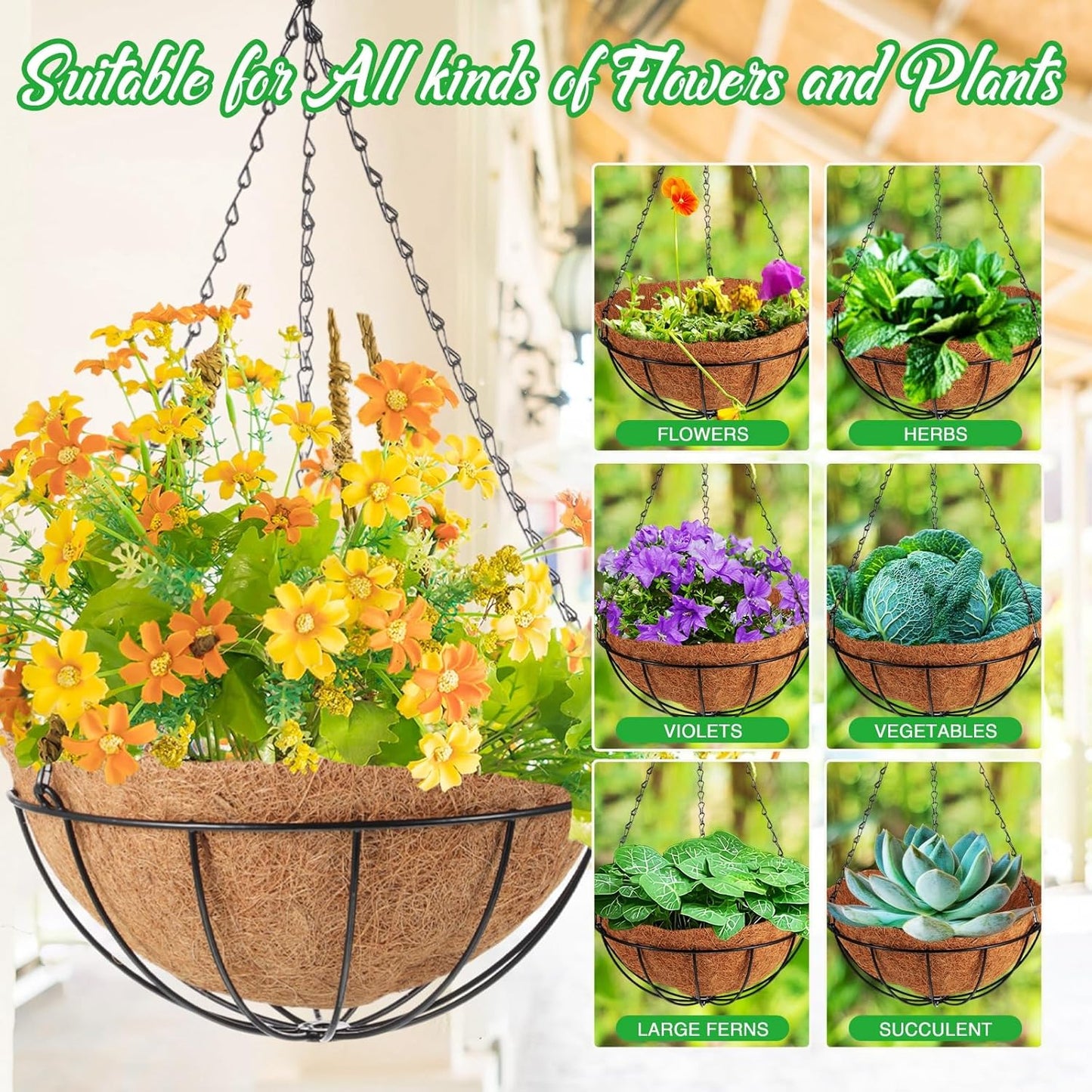 LemonRoad 3 Pack 12 Inch Hanging Baskets for Plants Outdoor Indoor, Metal Hanging Planters with Coconut Fiber Liner Chains and Ceiling Hooks Garden Tools Set for Garden House Patio Decor