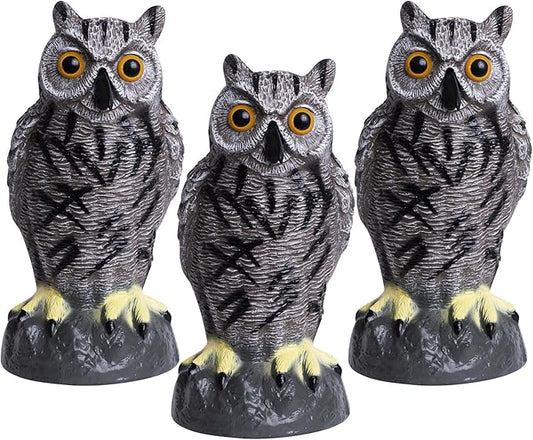 Galashield Owl Decoy | Plastic Owls to Scare Birds Away | Owl Statue for Garden & Outdoors - Pack of 3