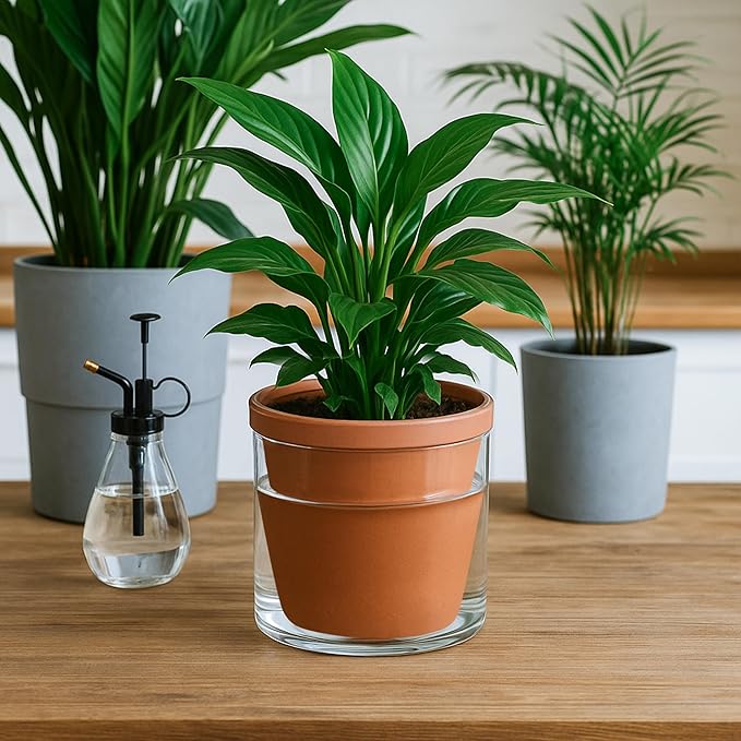 D'vine Dev 6 Inch Design Self Watering Pot for Indoor Plants, Terracotta Planter with Cylinder Glass Cup, Set of 2, 37-Y-B-1