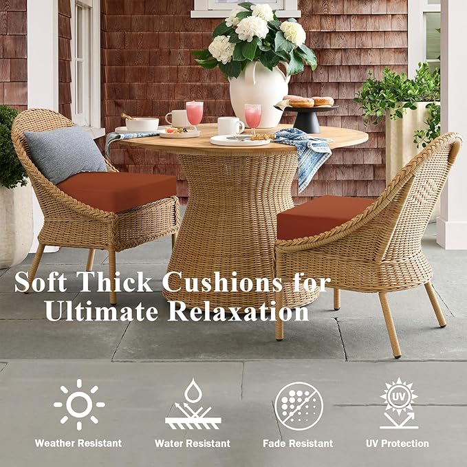 Outdoor Chair Cushions Set of 2, Waterproof Foam Patio Seat Cushions with Ties for Garden Sofa & Dining Furniture, 3-Year Color Fastness, 16x17x2 Inch, Spcie