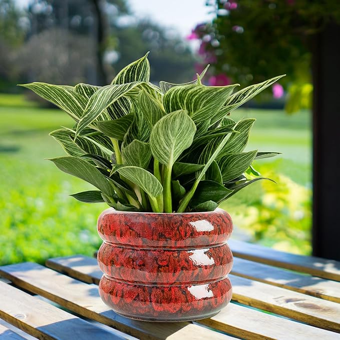 Ceramic 6 inch Plant Pot - Planter for Indoor Plants with Drainage Hole, Flower Pots for Orchid, Succulent,Outdoor Plants, Modern Glaze Planters for Home Office Decor Gift