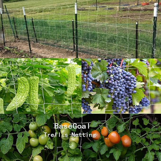 All-Weather Trellis Netting Mesh Plant Garden Vine Growing Flexible String Net (3.5" Mesh ployester, 5' Wx 15'L)