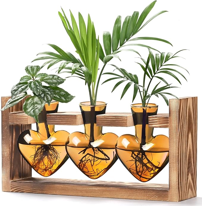 Lifecapido Heart Shaped Propagation Stations, Plant Terrarium with Wooden Stand, Plant Propagation Station for Hydroponics Plants Office Garden Home Decor, Gifts for Women Plant Lover (3 Vases, Amber)