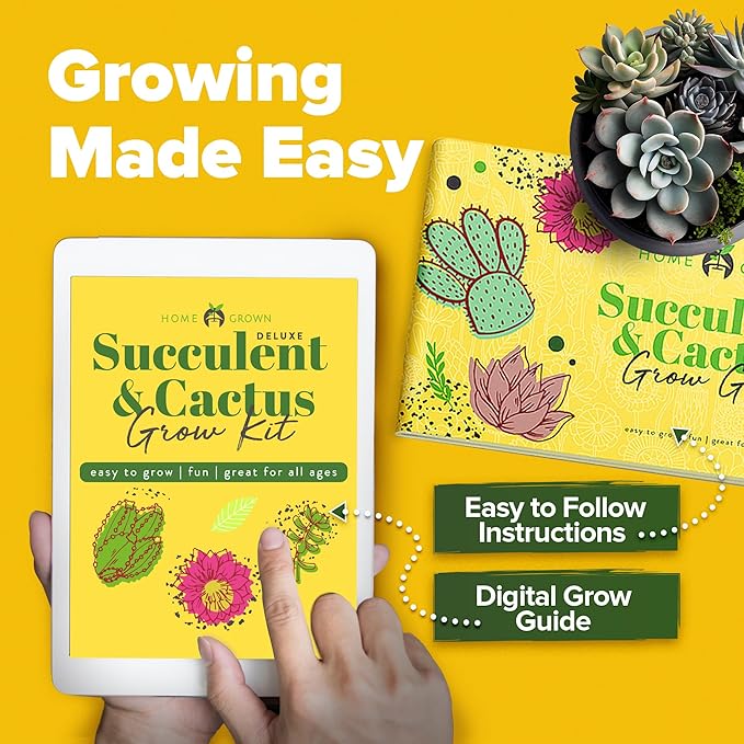 HOME GROWN Deluxe Succulent & Cactus Seed Grow Kit - Complete Indoor Plant Kit with Cactus Seeds, Potting Soil, Ceramic Pots, Drip Trays, and Grow Guide for Plant Enthusiasts