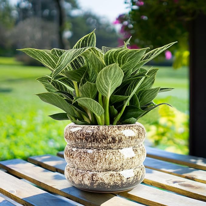 Ceramic 6 inch Plant Pot - Planter for Indoor Plants with Drainage Hole, Flower Pots for Orchid, Succulent,Outdoor Plants, Modern Glaze Planters for Home Office Decor Gift