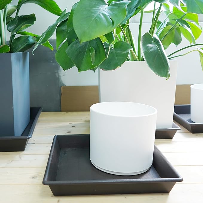 Square Plant Saucer 16 Inch 2 Pack, Plant Stand Plant Trays for Pots Heavy Duty Plastic Plant Saucers for Indoors Outdoors, Flower Pot No Holes Plant Lover Gardening Gifts