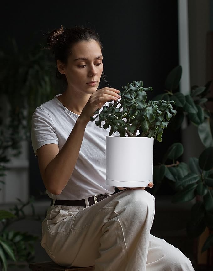 D'vine Dev 2 Pack 6.5 Inch Modern Plastic Plant Pots, Small Garden Planters for Plant with Drainage Holes and Saucers, White Color, 74-Z-L-1