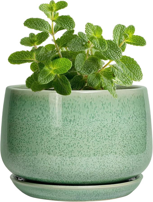 G EPGardening Ceramic Plant Pot - 4 inch Plant Pots with Drainage Hole & Saucer, Small Pots for Plant Indoor Outdoor, Modern Round Planter, Decorative Flower Pot, Room Decor, House Warming Gift, Green
