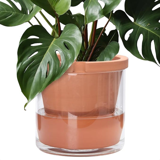 D'vine Dev 10 Inch Design Self Watering Pot for Indoor Plants, Terracotta Planter with Cylinder Glass Cup, 37-X-D-1