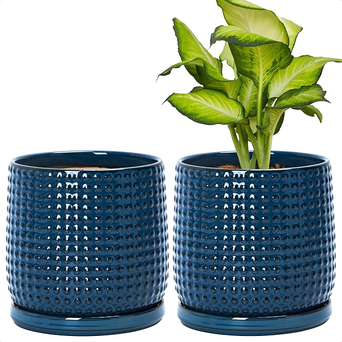 D'vine Dev Set of 2 Ceramic Plants Pots, 6 Inch Beaded Stoneware Flower Pot for Plants with Drainage Hole and Saucer, Midnight Blue, 27-E-X-3