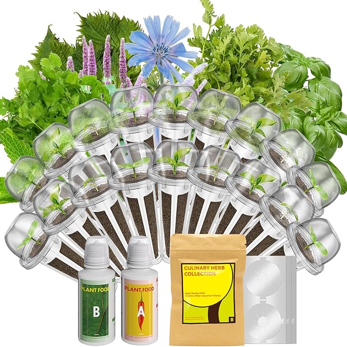 inbloom Herb Seed Pod Kit for AeroGarden, MUFGA, Ahopegarden, iDOO Hydroponic Growing System Indoor Garden, 18-Pod, 350+ Seeds Included Basil, Mint, Cilantro, Parsley, Shiso, Chicory, Liquorice