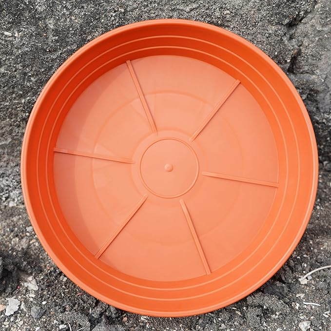 Plant Saucer 14 Inch 4 Pack 6 8 10 12 14 16 18 20 25, Plastic Plant Trays for Pots，Extra-Deep Plant Water Dray Tray, Bird Bath Bowl, Heavy Flower Plant Saucers Indoors and Outdoor No Holes