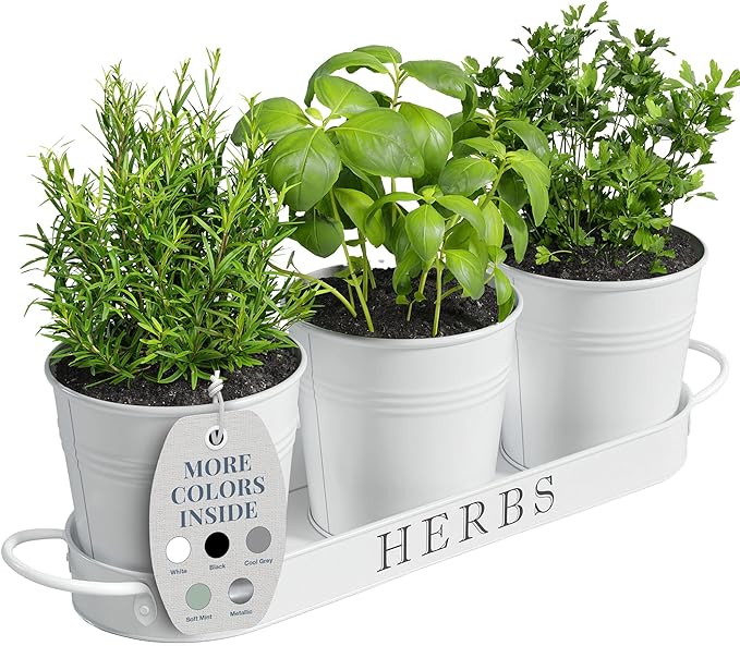 Barnyard Designs Indoor Herb Garden Planter Set with Tray, Metal Windowsill Plant Pots with Drainage for Outdoor or Indoor Plants, Set/3 (White)