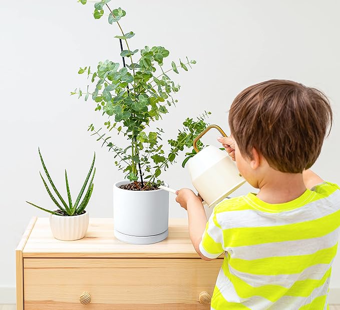 D'vine Dev Set of 2 Plants Pot, 4.6 Inch Ceramic Planter Pot for Plants with Drainage Hole and Saucer, White, 94-V-B-1