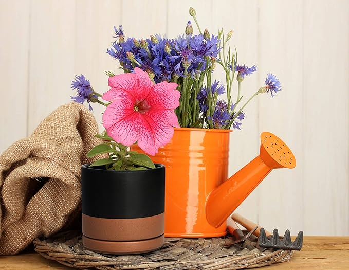 D'vine Dev Set of 2 Plants Pots, 4.6 Inch Ceramic Planter Pot for Plants with Drainage Hole and Saucer, Black/Speckled Tan, 94-V-B-7