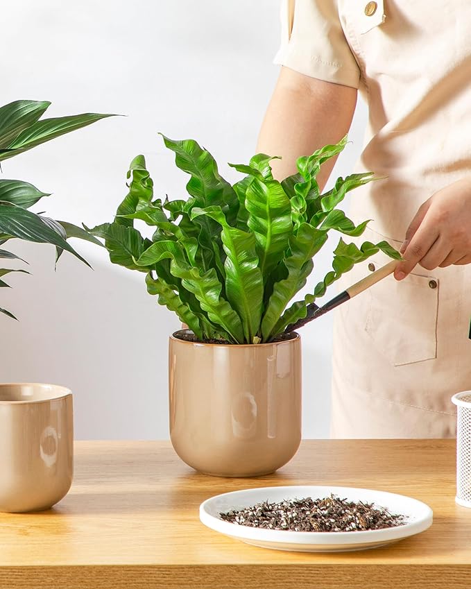 vancasso Ceramic Plant Pots, 4+5+6 inches, Set of 3, Planters with Drainage Hole, Flower Pots Planters Pots for Indoor Plants, Modern Indoor Decorative Garden Pot, Home Decor, Brown