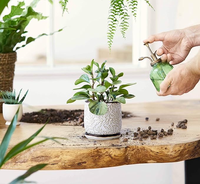 D'vine Dev 4 Inch Embossed Leaves Stoneware Planter Pot with Drainage Hole and Saucer, Smoked White, Set of 1, 27-A-Z-1