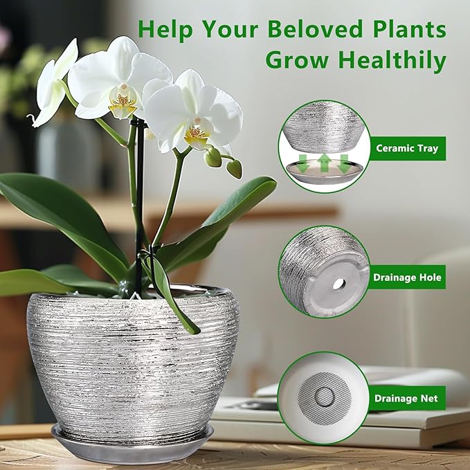 Ceramic Planter - 6 Inch Plant Pot Indoor with Drainage Hole and Saucer Outdoor Pot for Plants Round Decorative Planter Modern Mid-Century Flower Pot for Office Decor Silver