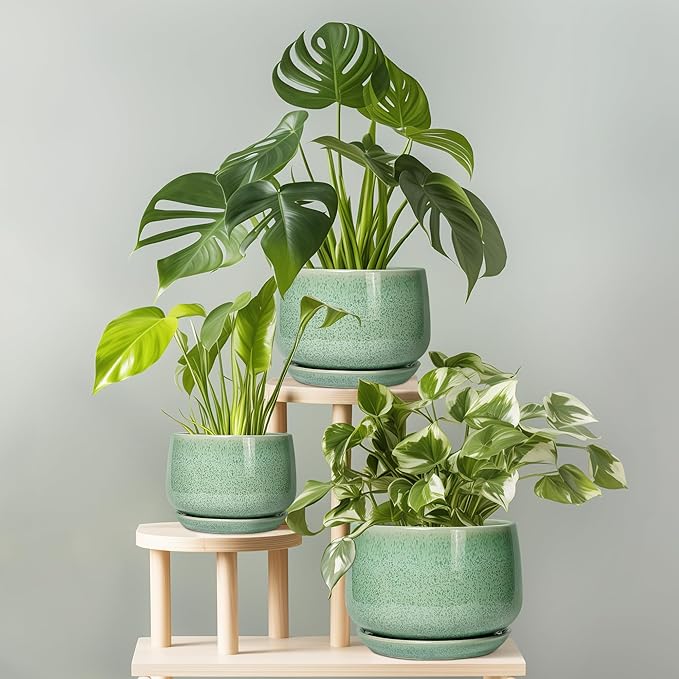 G EPGardening Ceramic Plant Pot - 7 Inch Ceramic Planter for Indoor Outdoor Plants, Flower Pot with Drainage Hole and Tray, Modern Round Planter, Plants Lovers Gifts, Home Garden Decor, Green