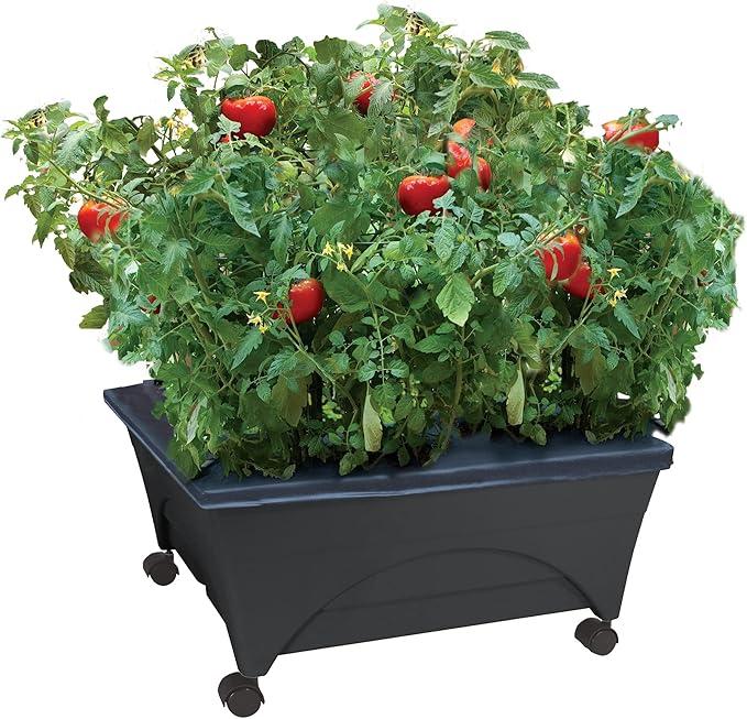 Emsco Group City Picker Raised Bed Grow Box – Self Watering and Improved Aeration – Mobile Unit with Casters