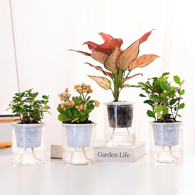 ORIMERC 200 feet 1/12 inch Self Watering Capillary Wick Cord Vacation Plant Sitter DIY Hydroponic Wicking Rope Seeds Start Planter Pot Automatic Potted Flower Passive Lazy Waterer String System Device