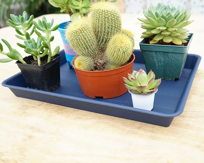 4 Pack Plant Saucer Tray Rectangular, Plant Saucers for Indoors, Heavy Sturdy Plastic Plant Drainage Trays, Plant Drip Trays for Pots, Seed Starter Growing Tray (11 x 9 inch, Blue)