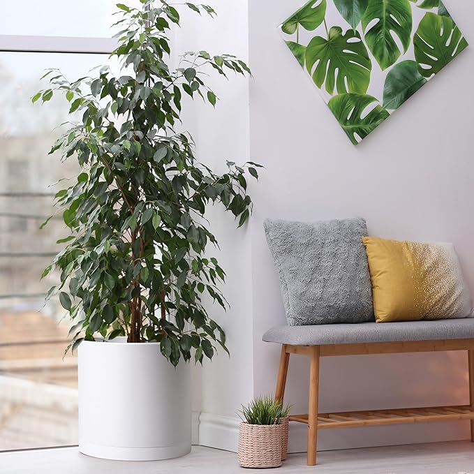 D'vine Dev 2 Pack 14 Inch Modern Plastic Plant Pots, Small Garden Planters for Plant with Drainage Holes and Saucers, White Color, 74-Z-Q-1