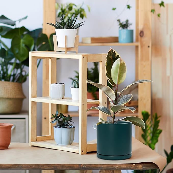 D'vine Dev 8 Inch Ceramic Planter Pot with Drainage Hole and Saucer, Indoor Cylinder Round Planter Pot, Teal, 94-O-D-9