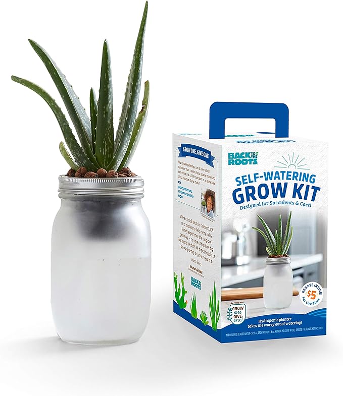 Back to the Roots Self Watering Grow Kit - Glass Hydroponic Planters for Succulents and Cacti - Hassle-Free Self-Watering System