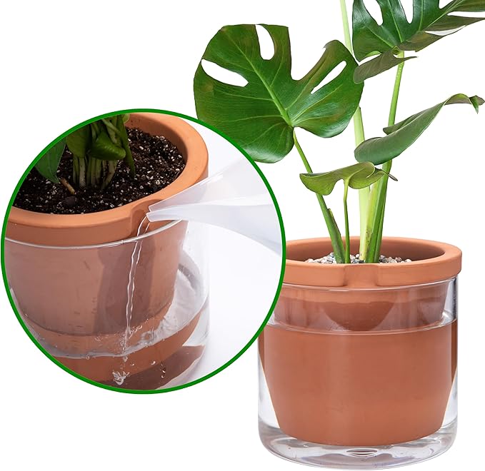 D'vine Dev 8 Inch Design Self Watering Pot for Indoor Plants, Terracotta Planter with Cylinder Glass Cup, 37-X-C-1