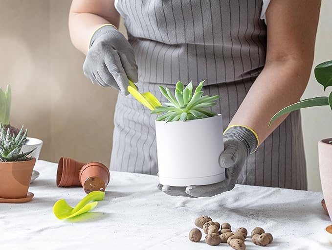 D'vine Dev 2 Pack 4 Inch Modern Plastic Plant Pots, Small Garden Planters for Plant with Drainage Holes and Saucers, White Color, 74-Z-E-1