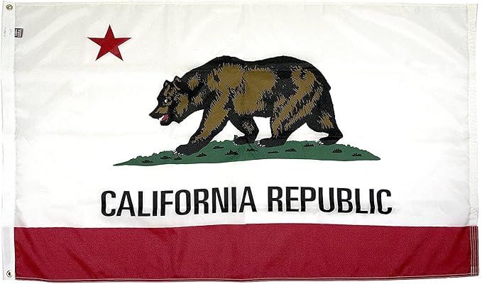 FlagSource California Nylon State Flag, Made in the USA, 4x6'