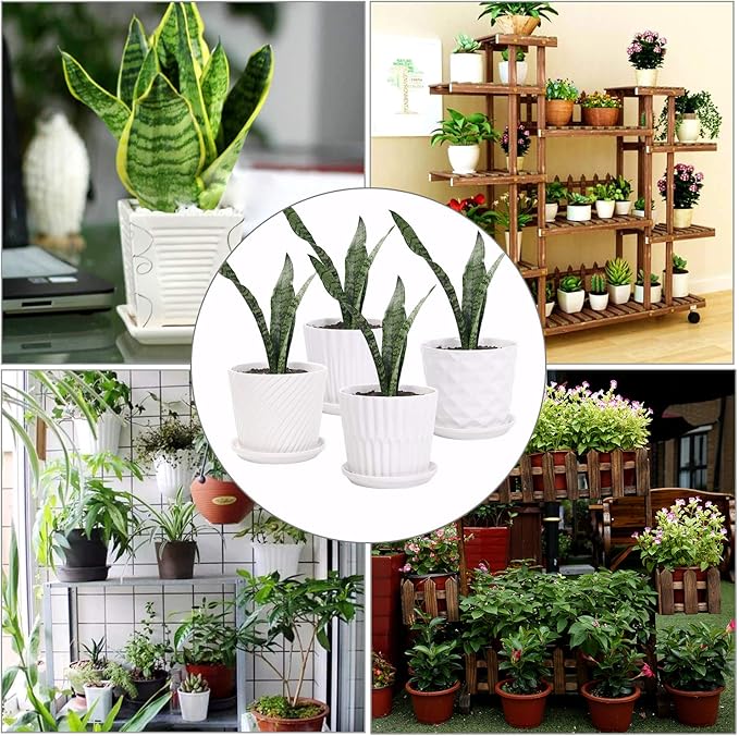 Plant Pots - 5.5 Inch Cylinder Ceramic Planters with Connected Saucer, Pots for Succuelnt and Little Snake Plants, Set of 4, White