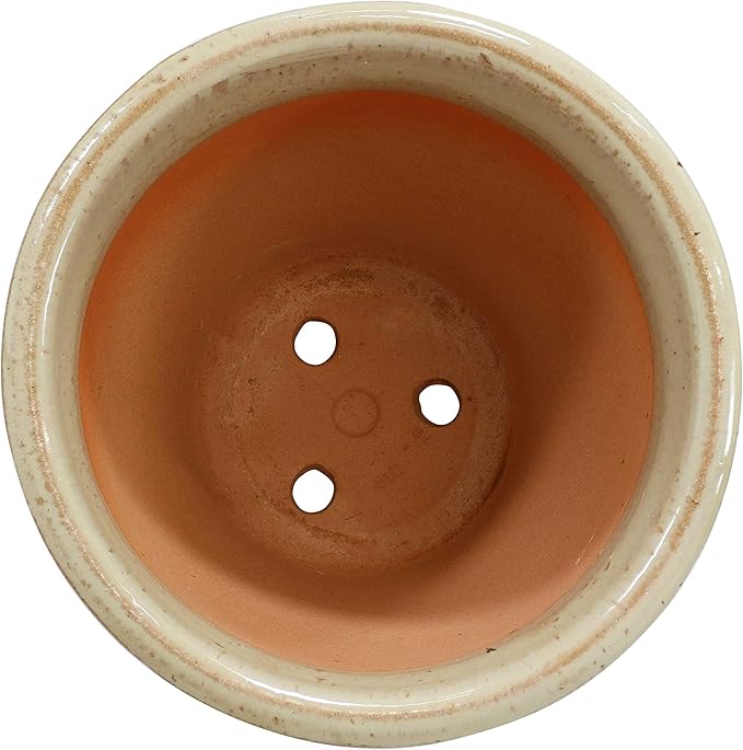 Sunnydaze Studio Large Ceramic Plant Pot - Round Outdoor Glazed Ceramic Planter Pot with Drainage - Seafoam - 14.5"