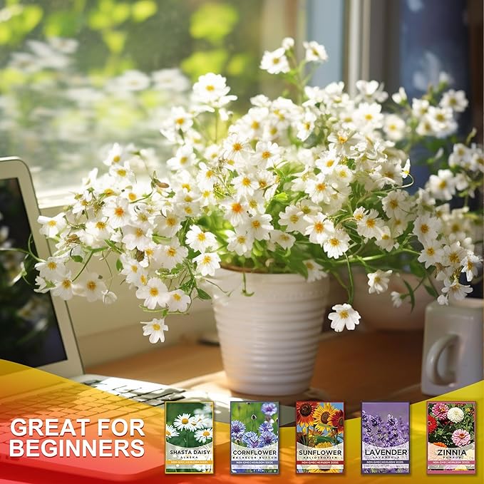 5 Kit - Growing into Shasta Daisy, Cornflower, Sunflower, Zinnia, Lavender for Indoor Outdoor Garden DIY Gifts