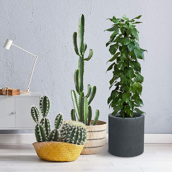 Kante 15.7" Dia Round Concrete Planter, Modern Style Large Cylindrical Plant Pot with Drainage Hole and Rubber Plug for Indoor Outdoor Patio, Charcoal