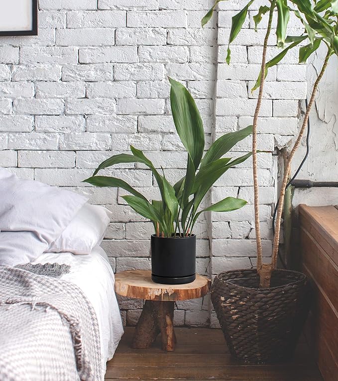 D'vine Dev 4.6 Inch & 6 Inch Ceramic Planter Pots for Plants with Drainage Hole and Saucer, Small Plant Pots Set, Black, 94-G-S-2