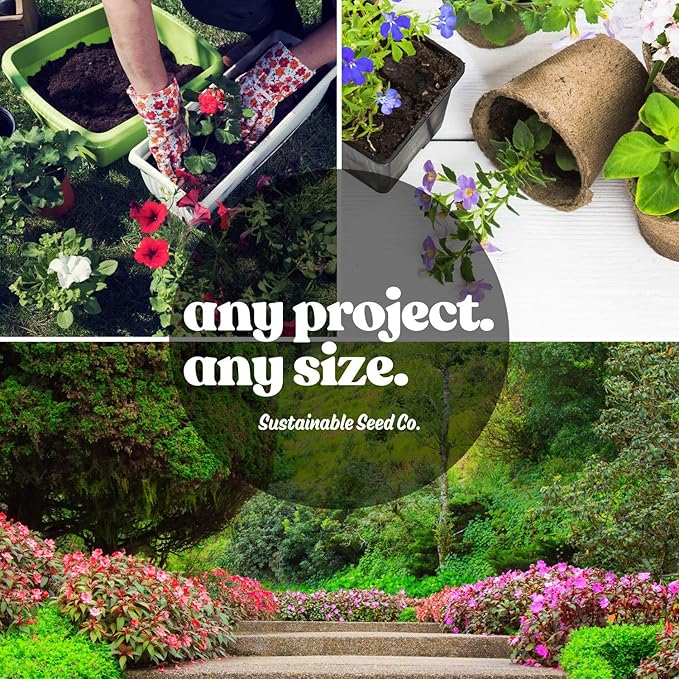 All Annual Wildflower Seeds Mix – 4 Oz, 4,000+ Seeds – 21 Varieties Including California Poppy, Indian Blanket, Scarlet Flax – Bulk Pollinator Wildflower Seed for Planting