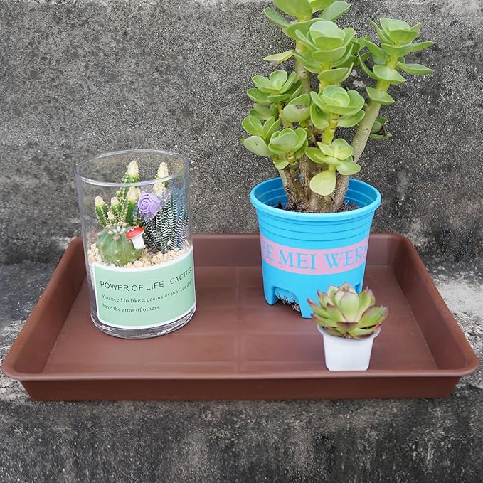 Plant Growing Trays 4 Pack, Plant Tray, 14.5"x11", Heavy Sturdy Plastic Plant Saucer Seed Trays, Seedling Starter Tray, Plant Drip Trays for Indoors, Seed Starter Growing Tray (Chocolate)